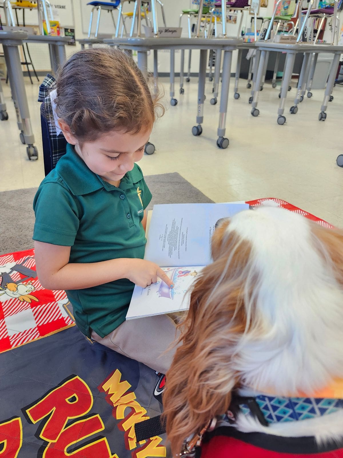 Penny, The CLCS Therapy Dog