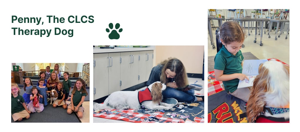 Penny, The CLCS Therapy Dog